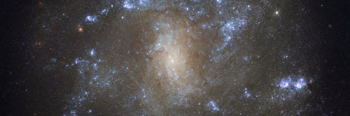 Votre template (fr-FR)